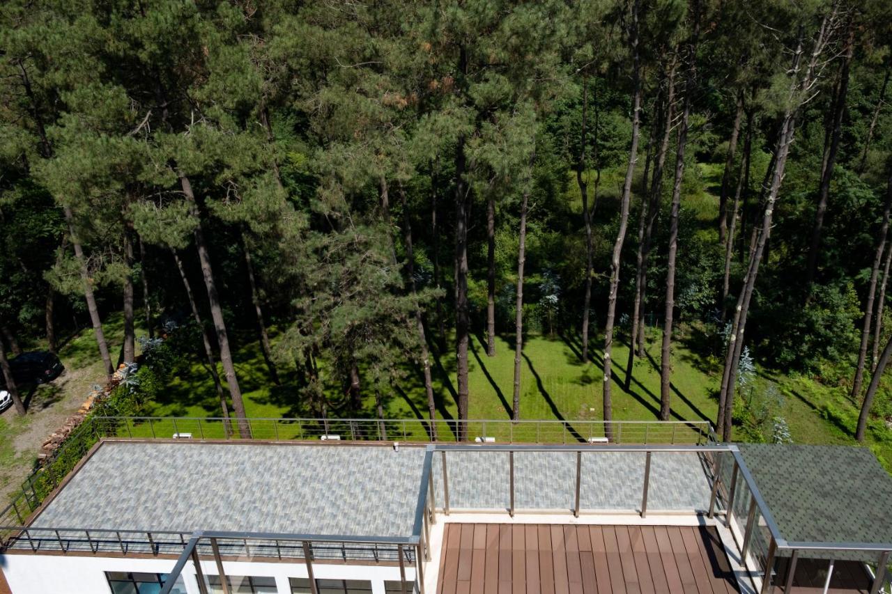 Buxus Hotel Shekvetili Экстерьер фото
