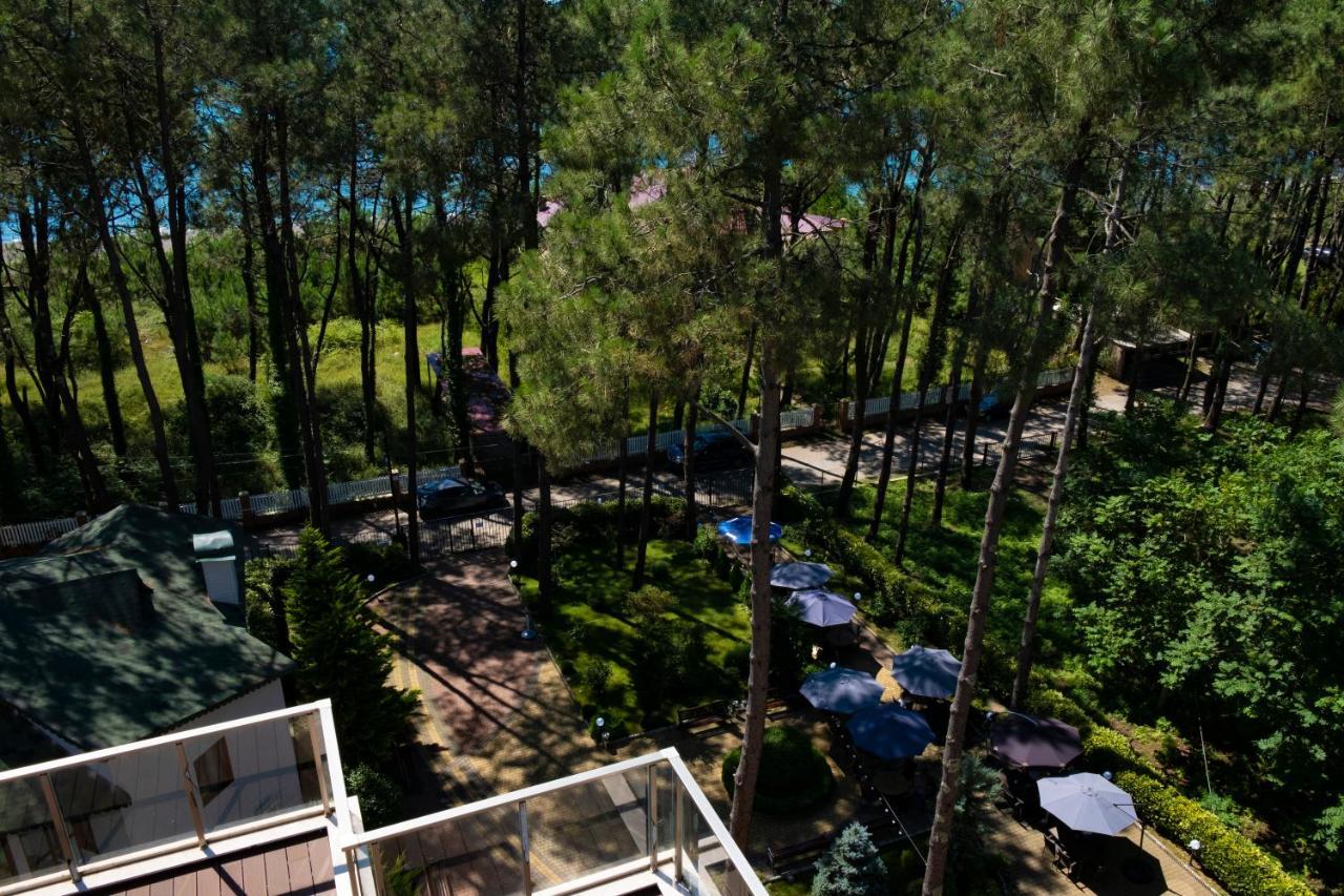 Buxus Hotel Shekvetili Экстерьер фото