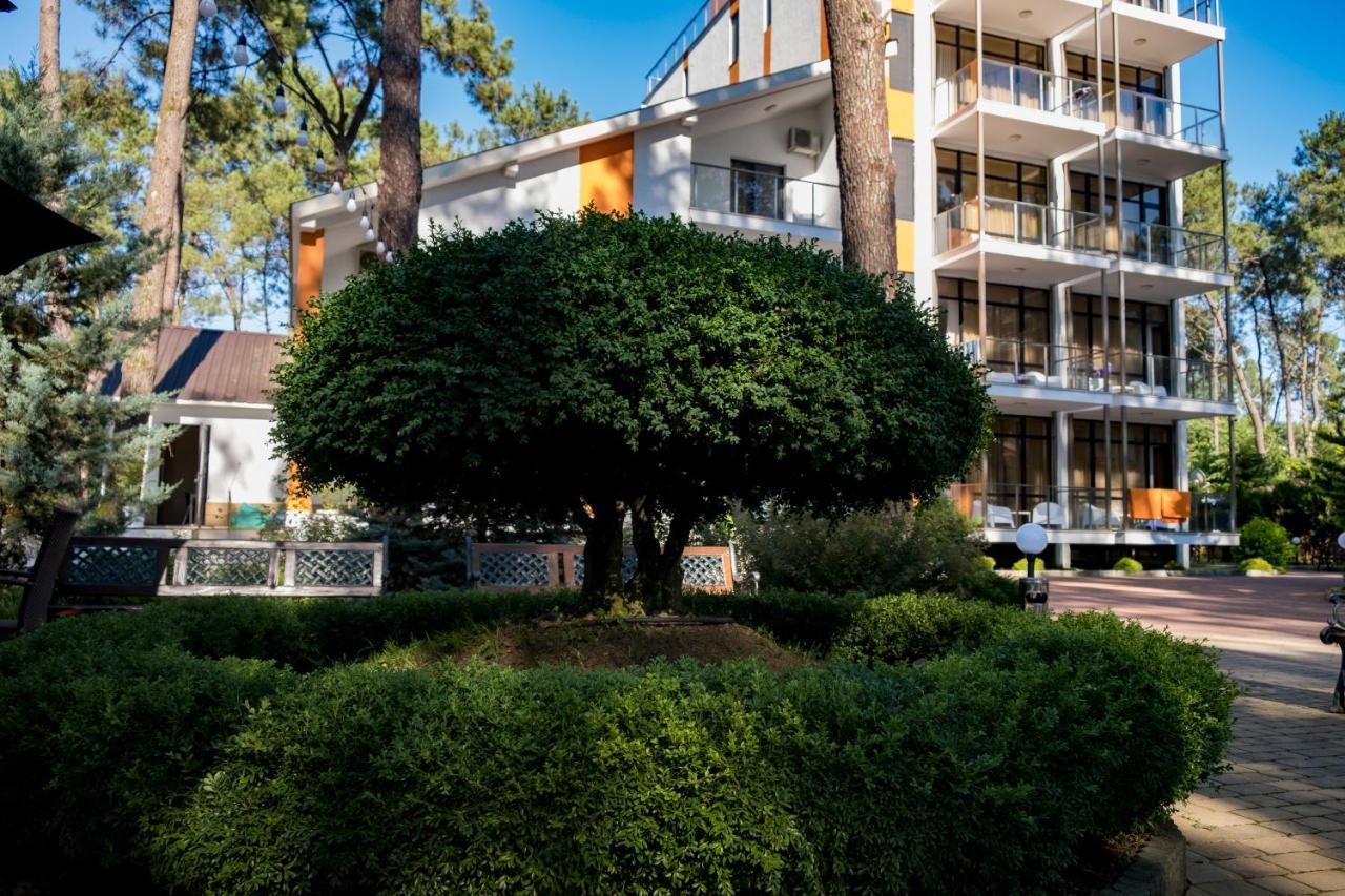 Buxus Hotel Shekvetili Экстерьер фото